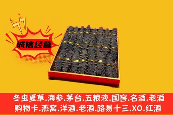 崇左天等县回收海参